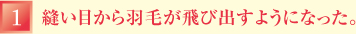 縫い目から羽毛が飛び出すようになった。