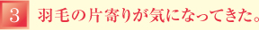 羽毛の片寄りが気になってきた。